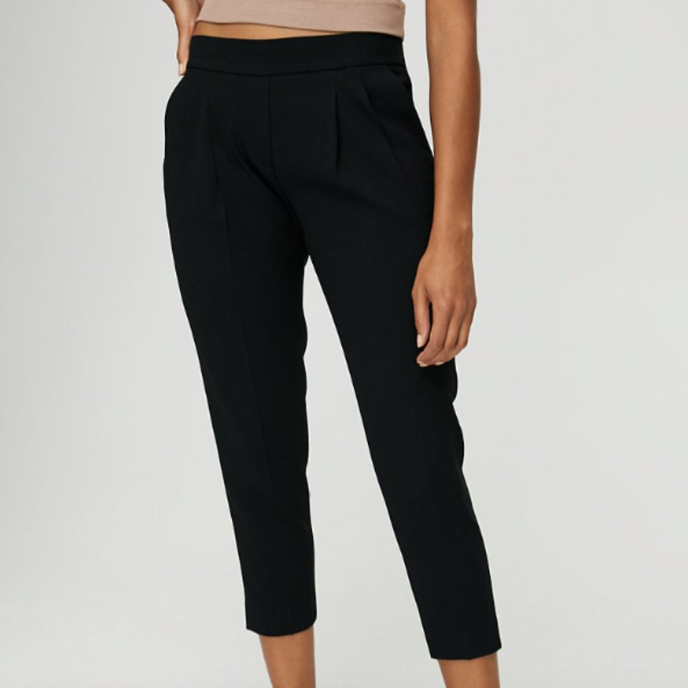 Aritzia Cohen Pants